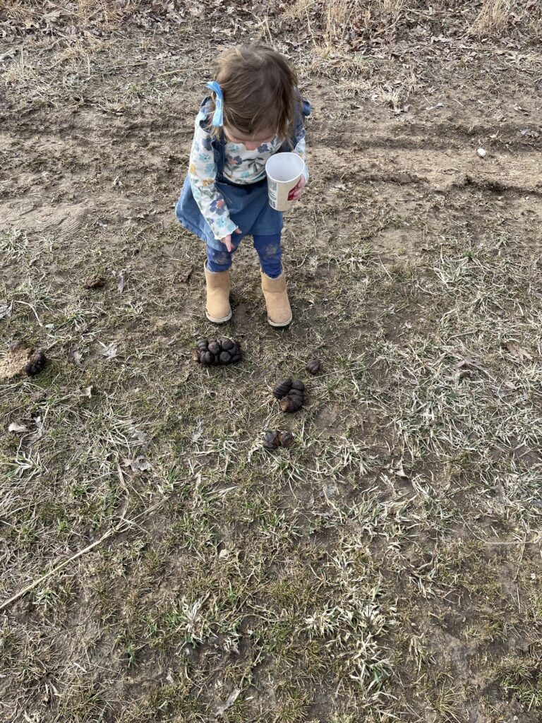 Timberlynn, wearing a blue jumper and a hairbow, points at a cow patty on the ground.