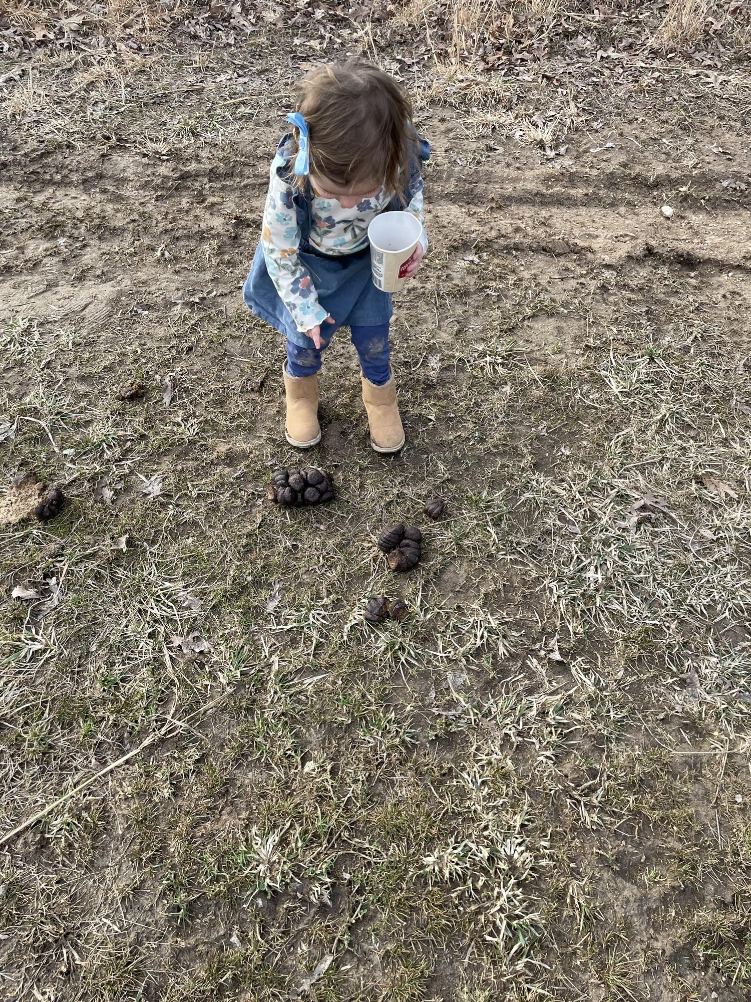 Timberlynn, wearing a blue jumper and a hairbow, points at a cow patty on the ground.