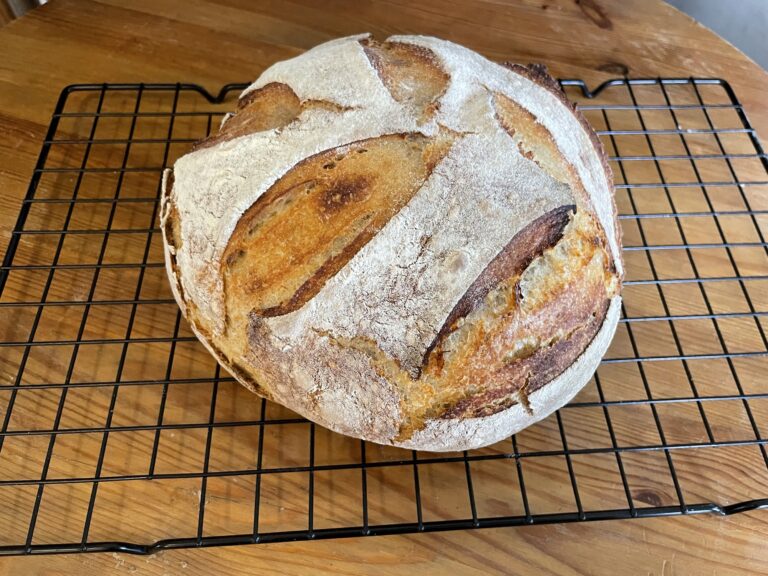 A crusty, golden-brown boule with five large leaf-like scores made from a no-scale sourdough recipe.