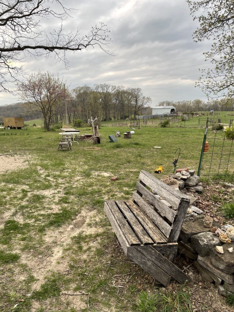An early spring scene with small leaves on the trees and patches of green grass. An empty bench in the foreground awaits warmer weather.