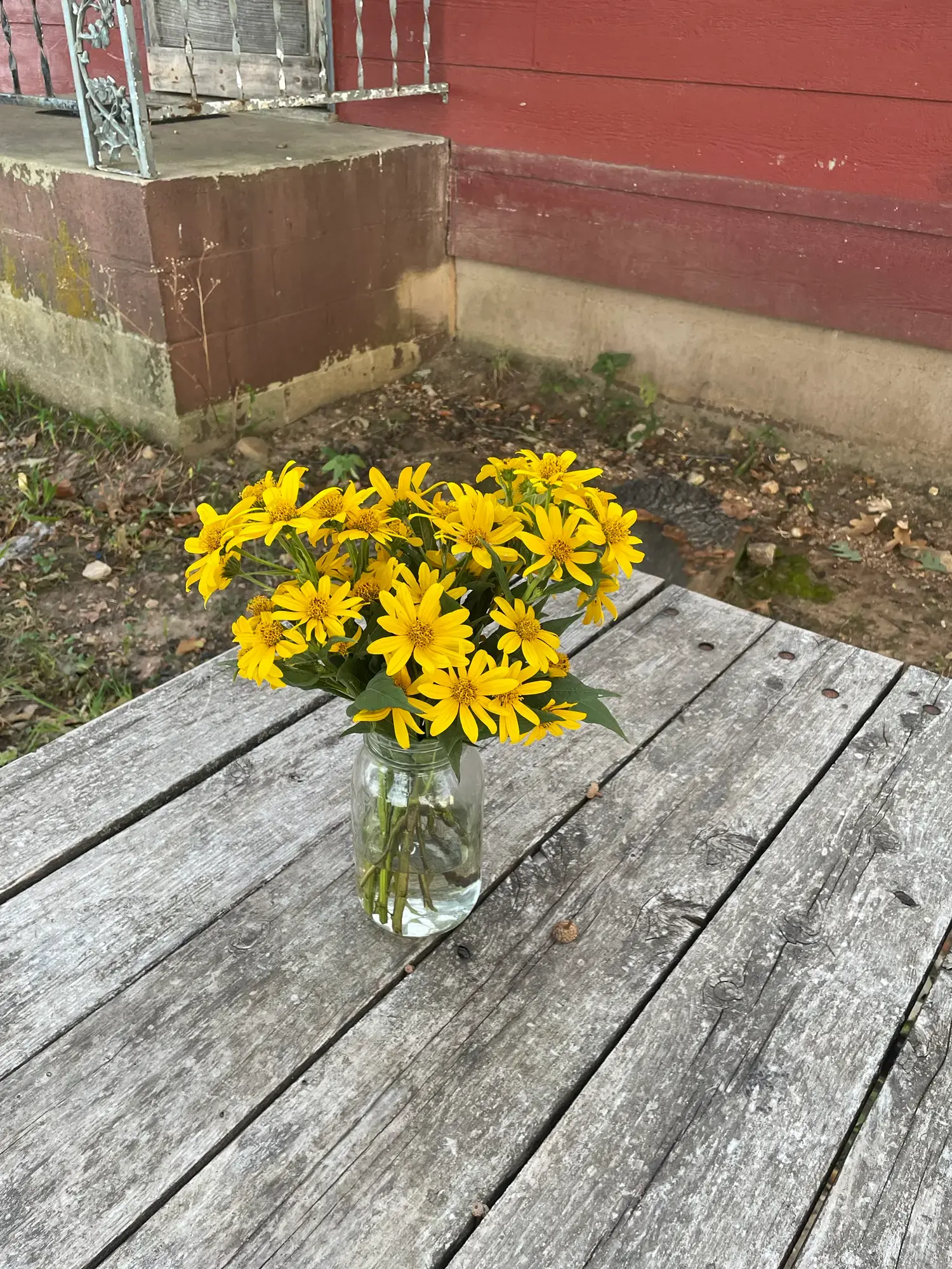 A bouquet of golden Jerusalem Artichoke blooms in a mason jar sets on an outdoor table made of weathered wood.