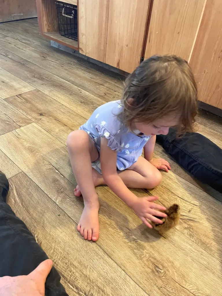 Timberlynn sitting on the kitchen floor petting a striped chick.