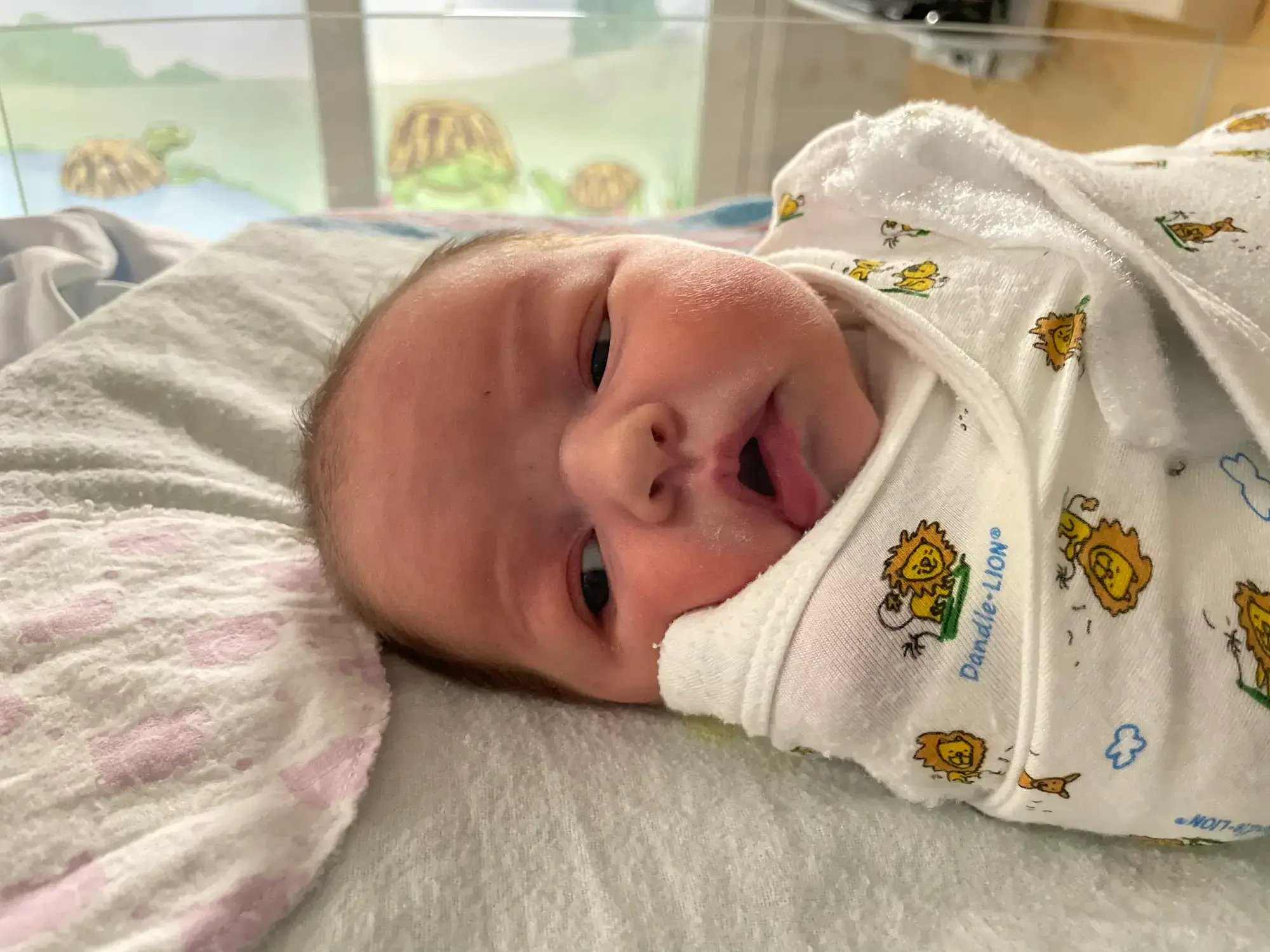 Too Late for the Hospital: My 37-Week Unplanned Home Birth and the Helicopter Ride to the NICU 17 Closeup of Baby Wrangler doing a side-eye peek swaddled in the incubator