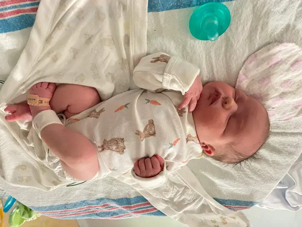Too Late for the Hospital: My 37-Week Unplanned Home Birth and the Helicopter Ride to the NICU 16 Newborn Wrangler sleeping peacefully in the incubator. She is wearing a long-sleeved, legless onesie patterned with white carrots and brown, Peter Cottontail-style rabbits. Only the vital signs monitor on her foot remains attached.