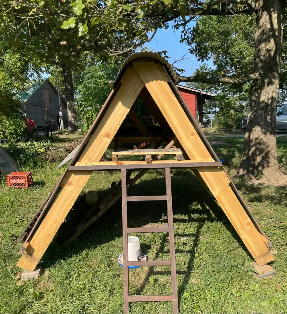 DIY A-frame chicken roost made of wood with a metal roof and an old bunk bed ladder leaning on the side.