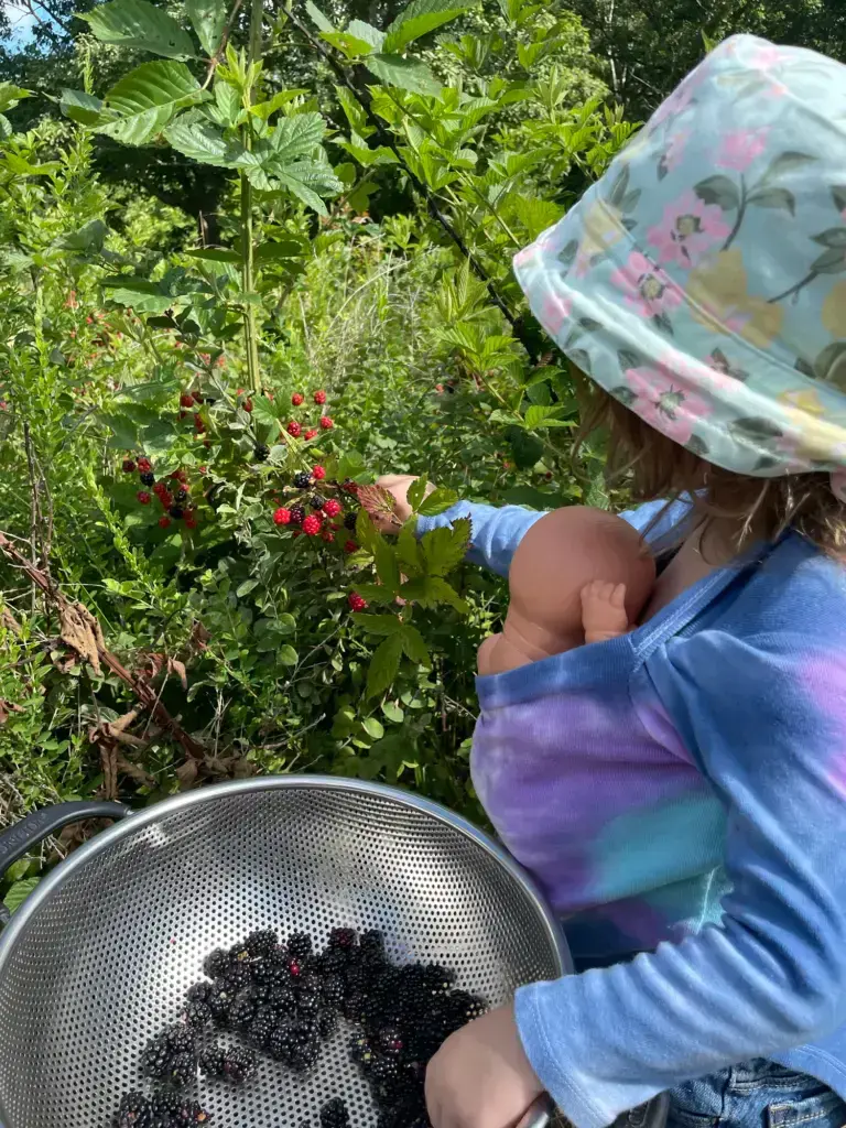 Chaos Gardening by Accident, a guide to gardening with a two-year old (and an infant)