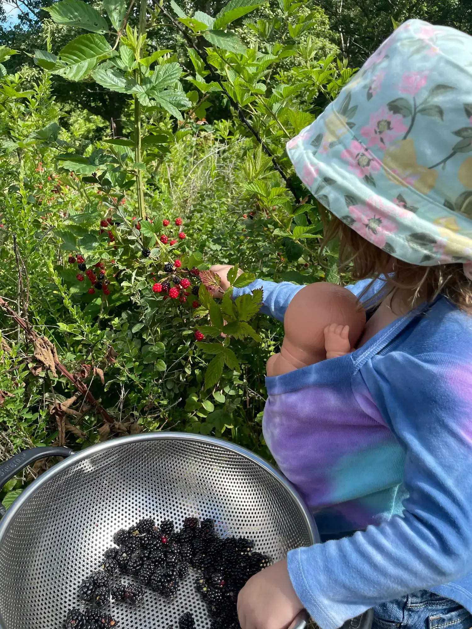 Chaos Gardening by Accident, a guide to gardening with a two-year old (and an infant)