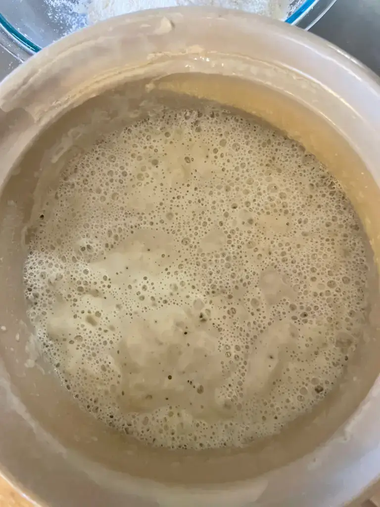 Bubbly, active sourdough starter, suitable for use as an acidic buttermilk substitute in baking recipes.