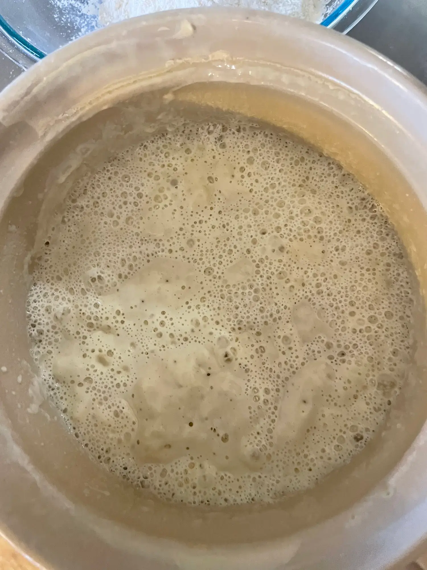 Bubbly, active sourdough starter, suitable for use as an acidic buttermilk substitute in baking recipes.