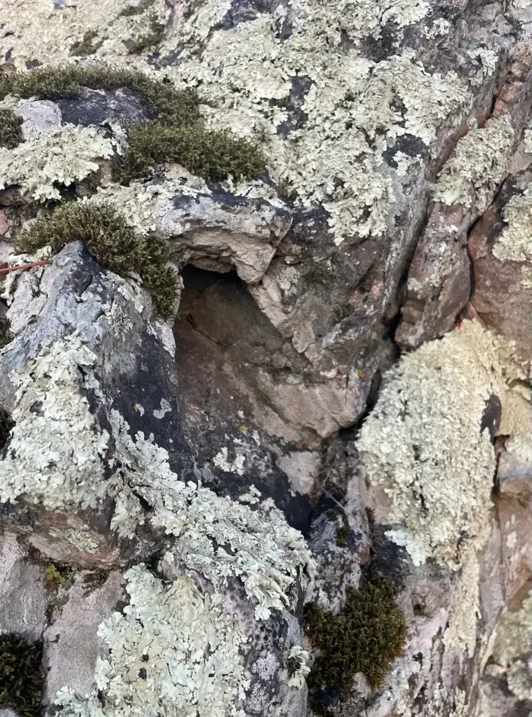 A cleft rock representing the Way of the Cleft