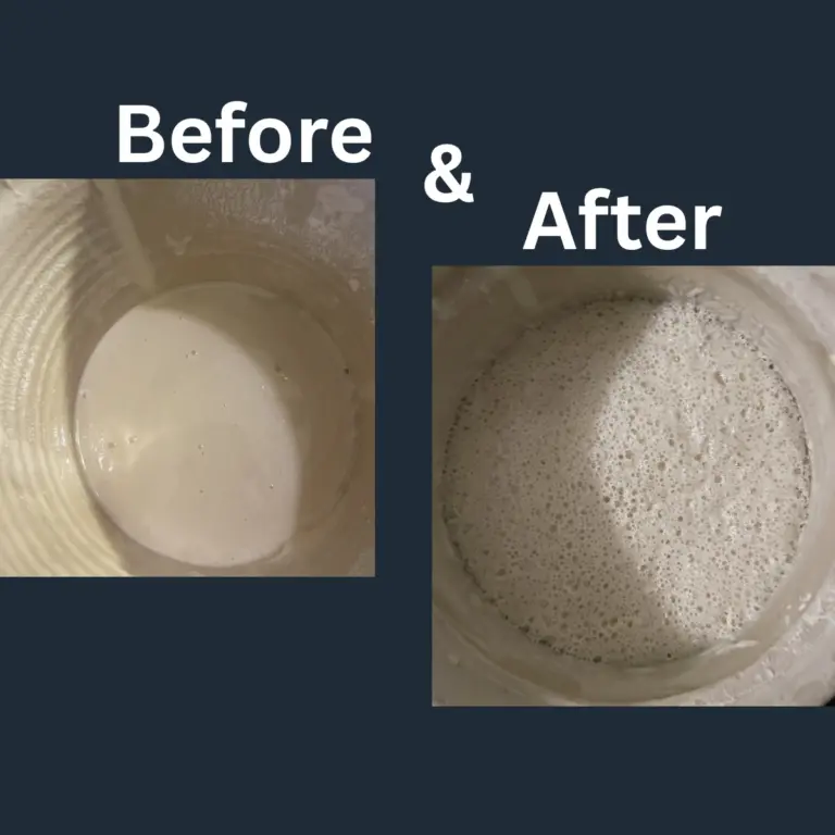 Before and after results of how to feed sourdough starter to make it stronger. A flat, 'dead' starter next to a bubbly, active starter on a blue background.