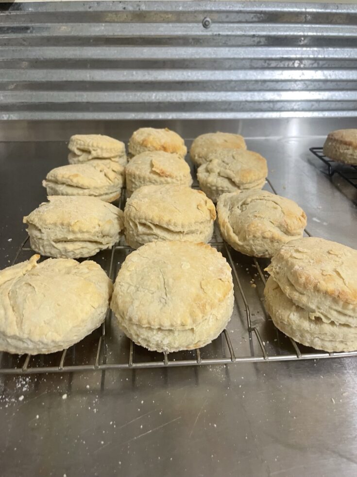 how to make flaky sourdough biscuits (Step-by-Step Guide) 14
