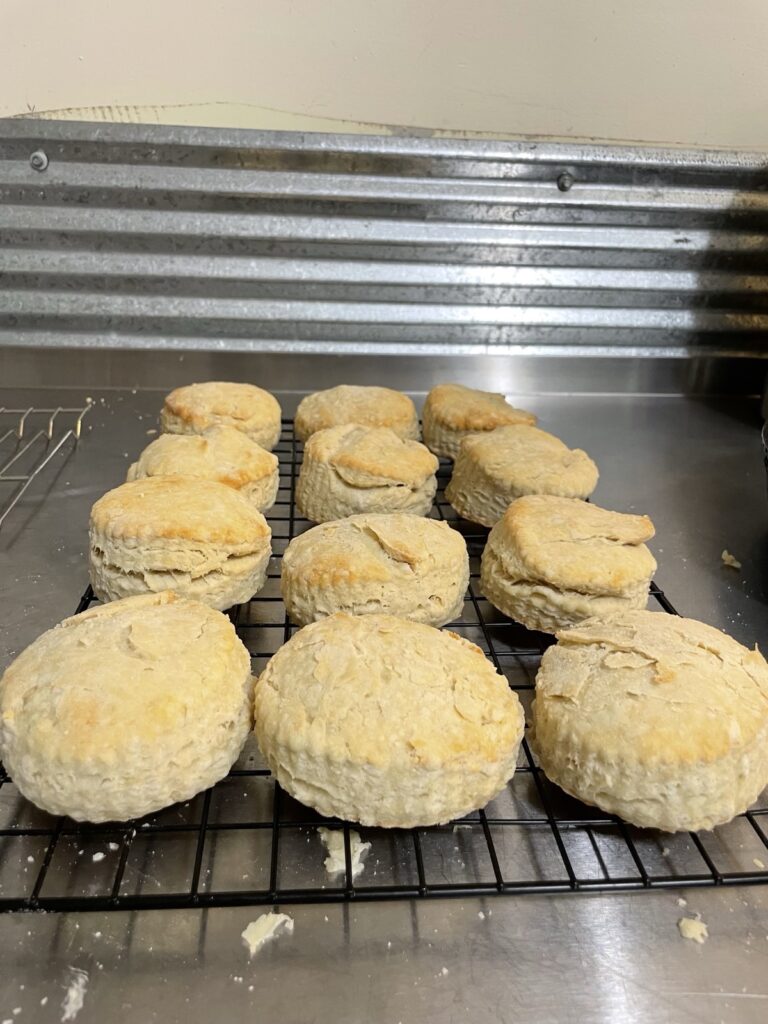 A dozen golden-brown, flaky, layered, and tender vegan sourdough biscuits sit cooling on a black cooling rack over a stainless-steel countertop.