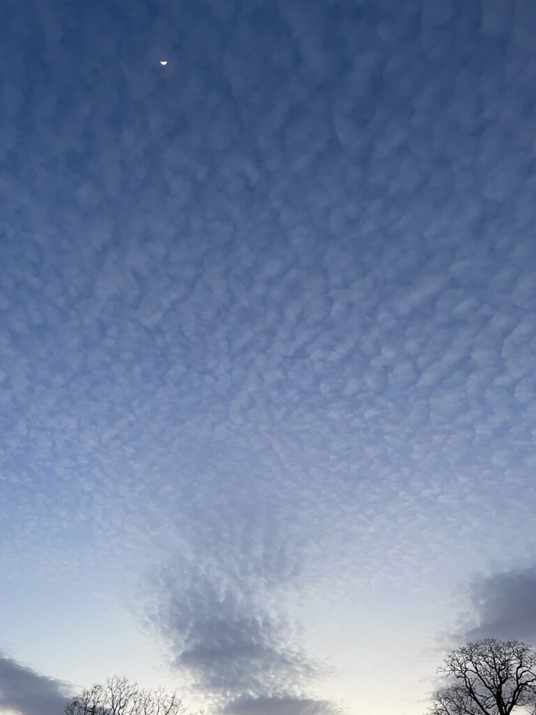 A camera-view pointing straight up at a twilight sky with textured clouds, a tiny crescent moon, and the bare tops of two trees, symbolizing a believer looking up while dealing with unanswered prayer.