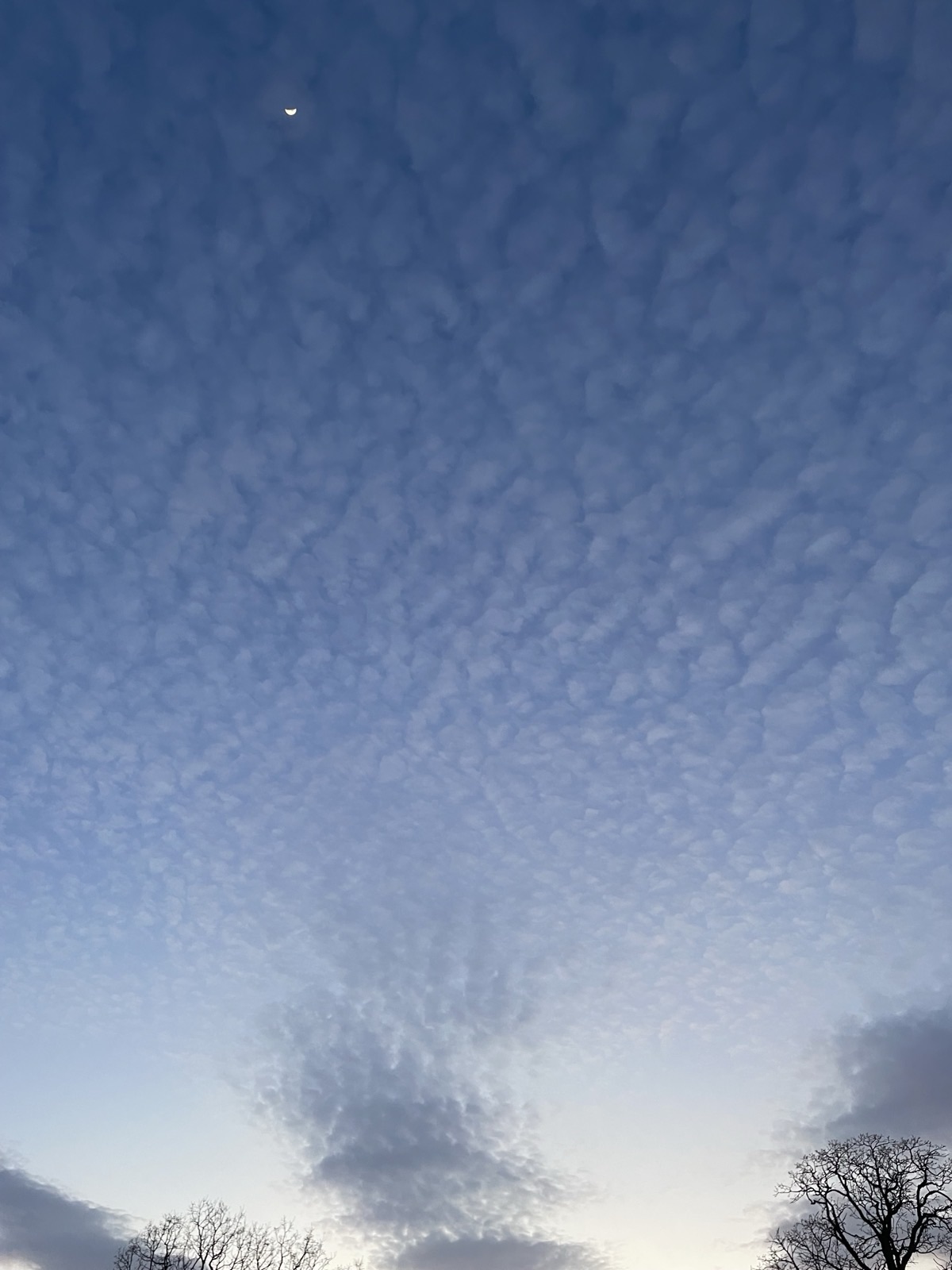 A camera-view pointing straight up at a twilight sky with textured clouds, a tiny crescent moon, and the bare tops of two trees, symbolizing a believer looking up while dealing with unanswered prayer.